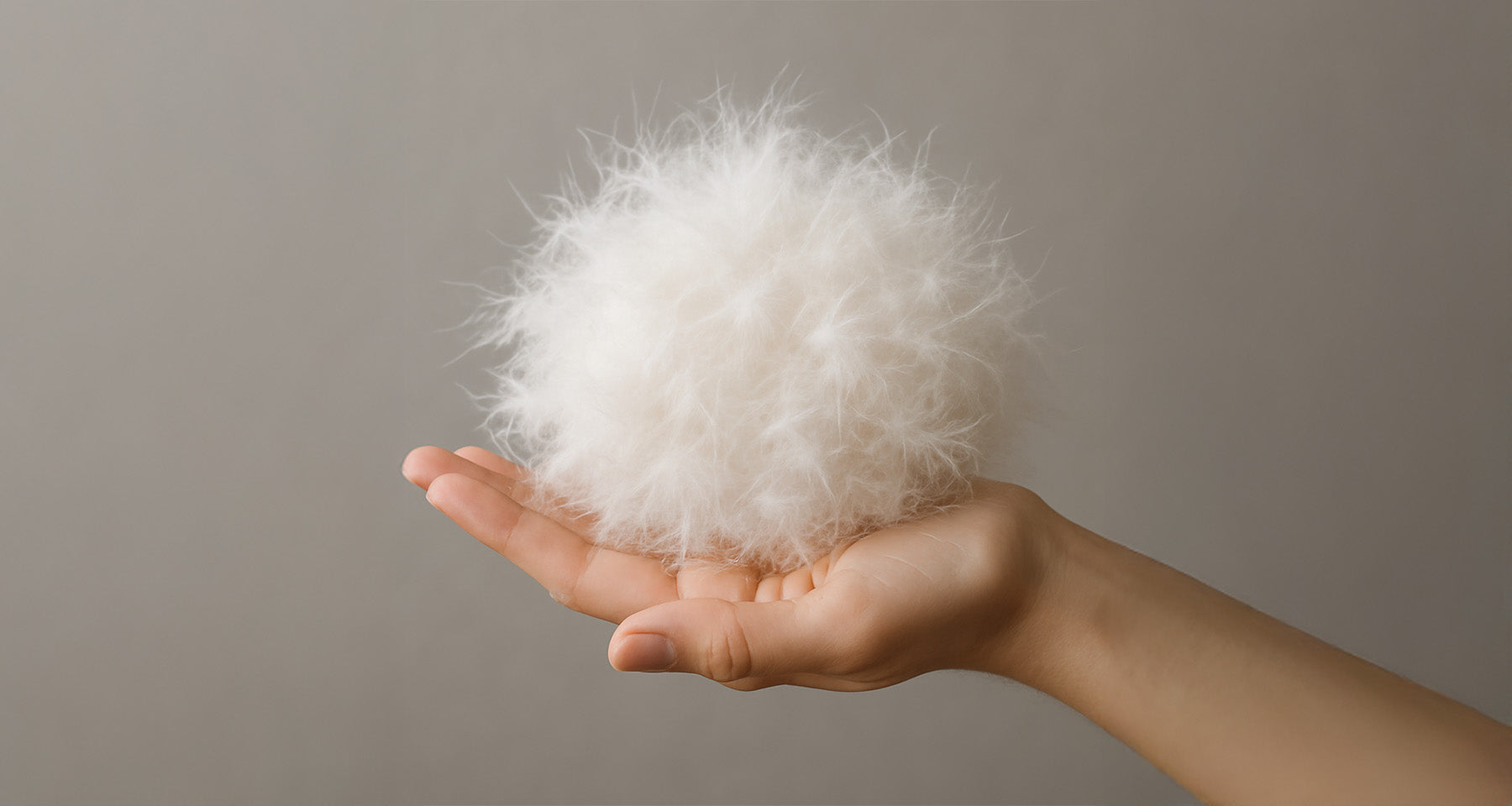 Hand hält eine Kugel aus weißen, weichen Daunen