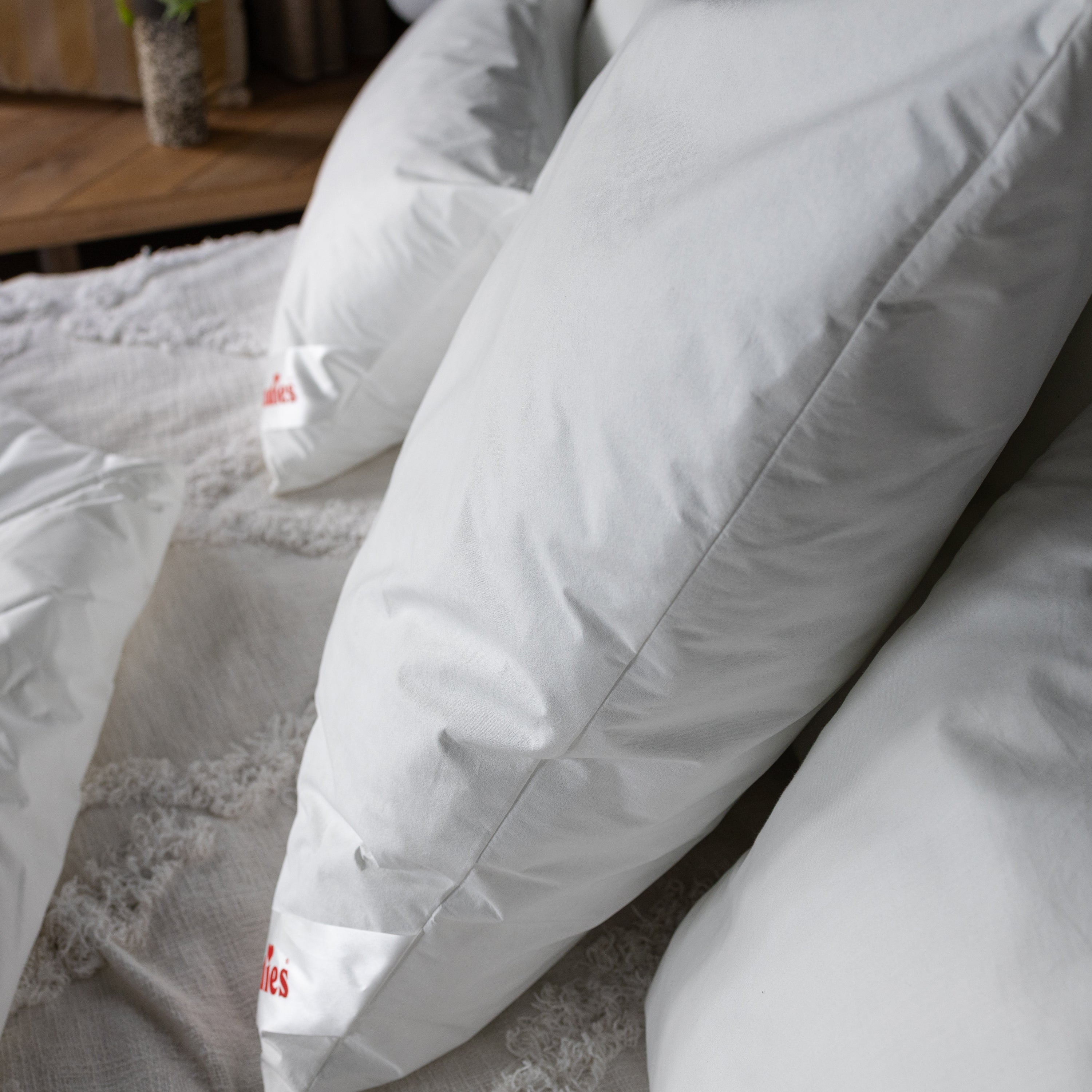 Allergiker Kissen · Softy Antiallergo