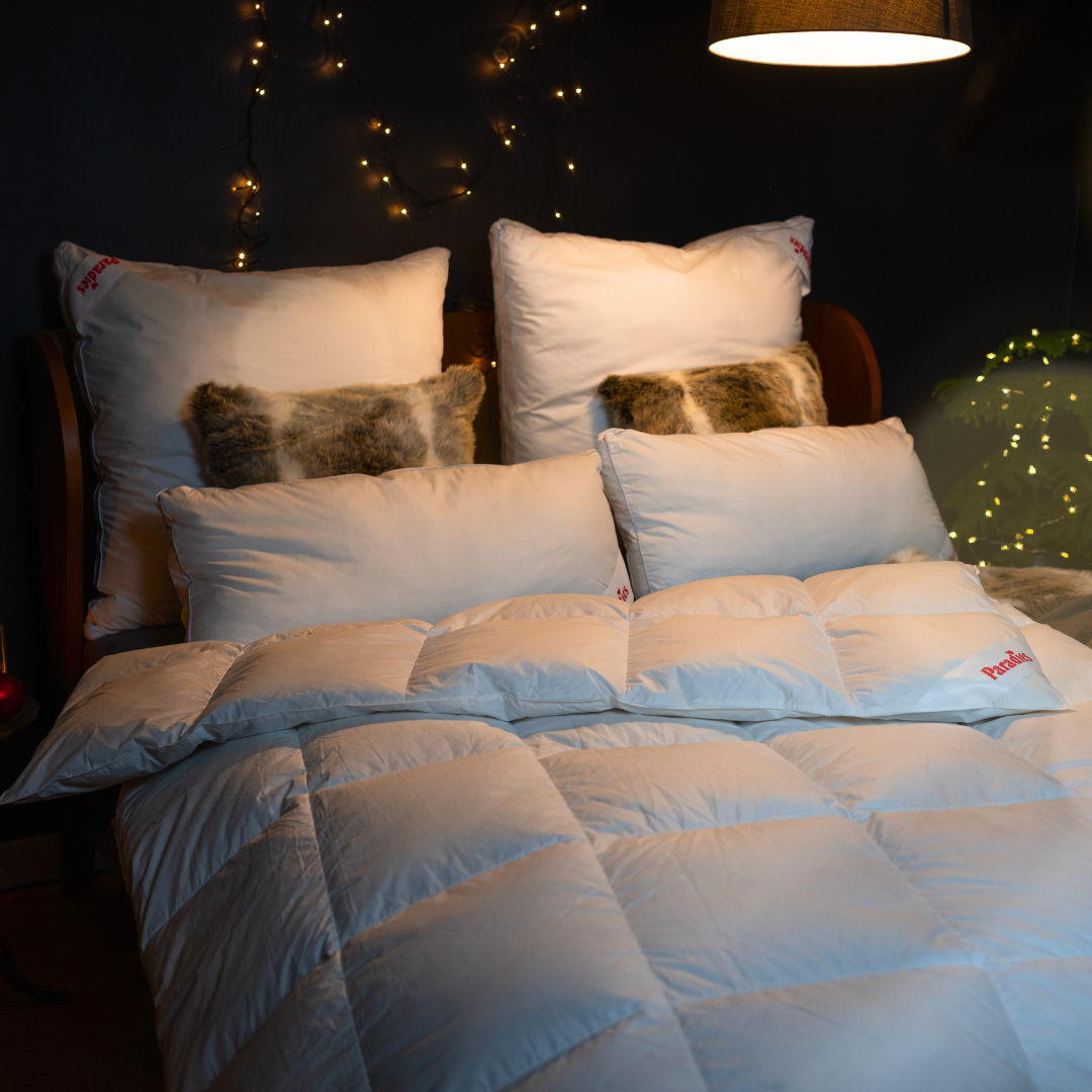Paradies Winter-Daunenbettdecke Gabi 90 und Kissen mit weißem Bezug auf einem Bett mit dunklem Kopfteil und warmem Licht