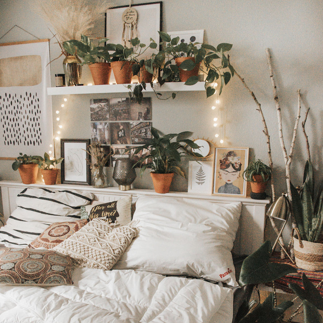 Tipp: Pflanzen im Schlafzimmer