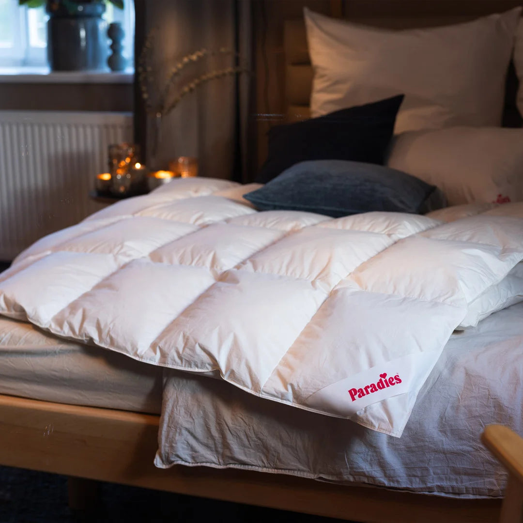 Ganzjahresbetten-Set · Daunendecke + Daunenkissen