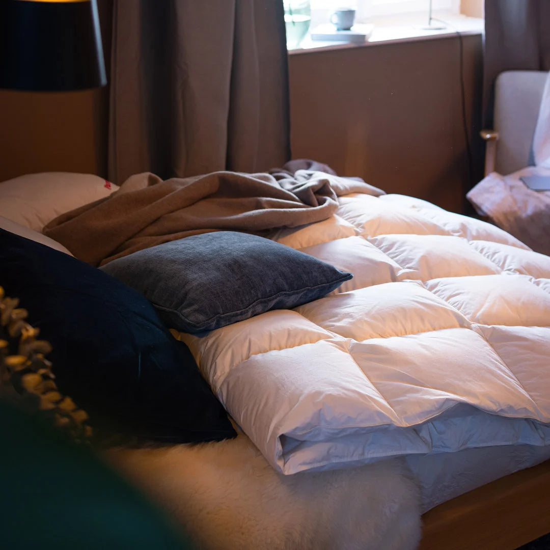 Ganzjahresbetten-Set · Daunendecke + Daunenkissen