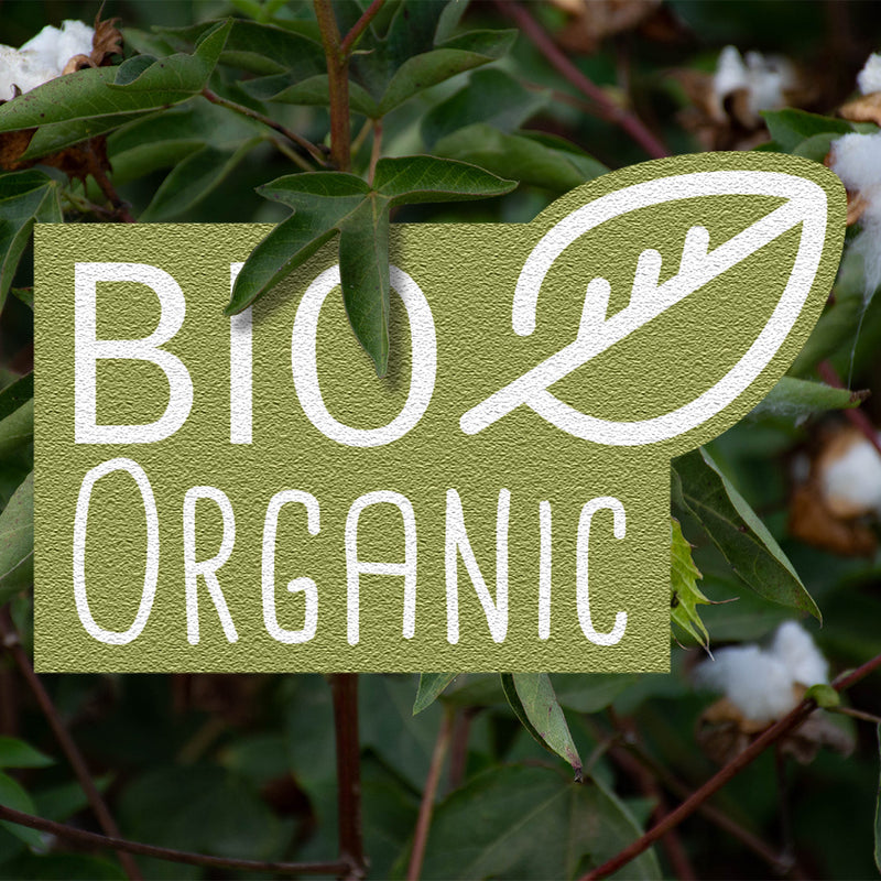 Bio Baumwollpflanze mit Paradies Bio Organic Logo: Bettdecke aus Bio Baumwollgewebe.