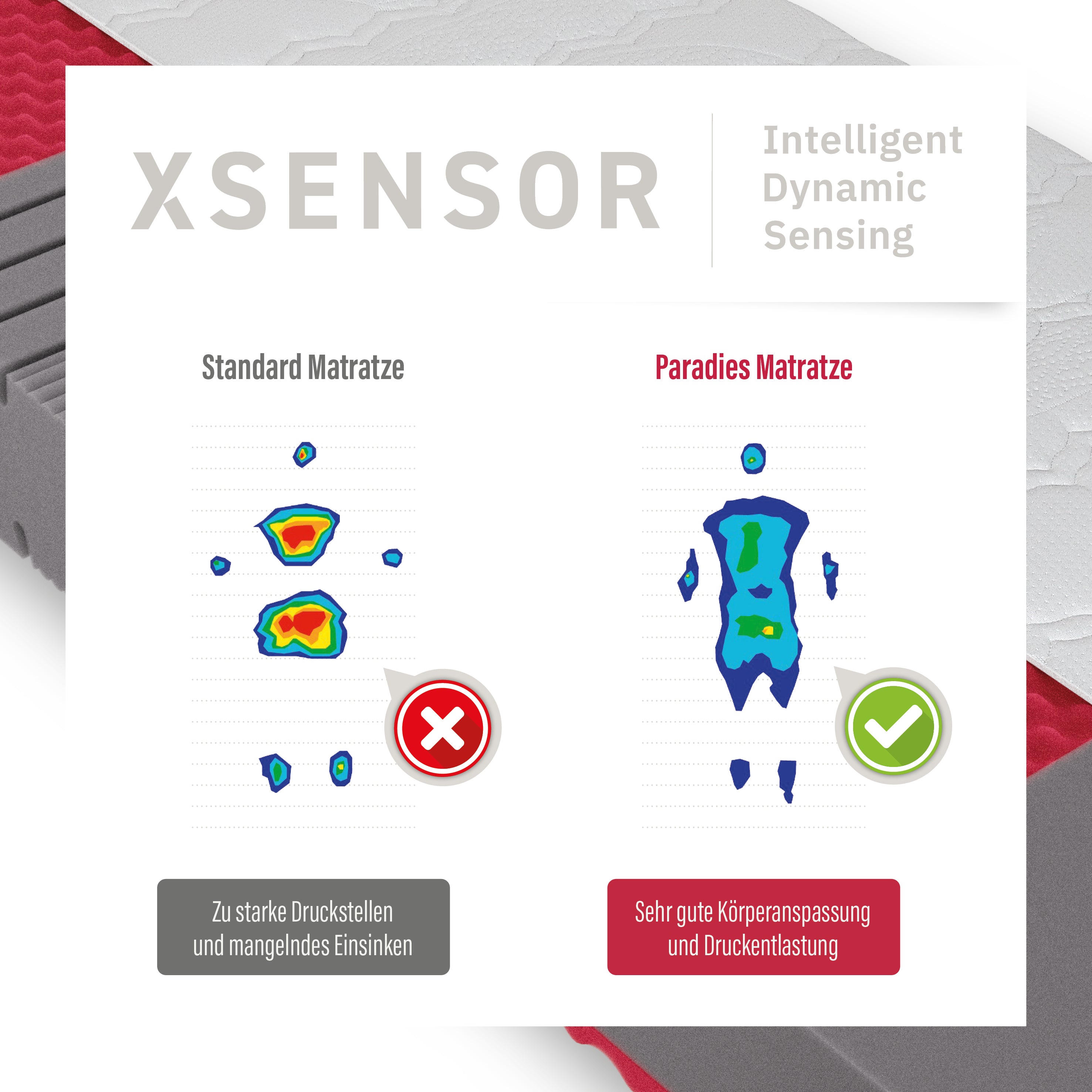 Prolife Supreme · 7-Zonen Kaltschaum